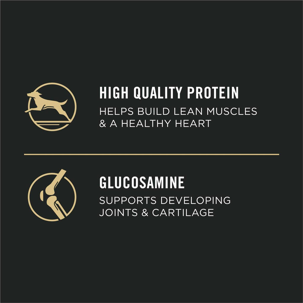 Large Breed Chicken Puppy Food G917355