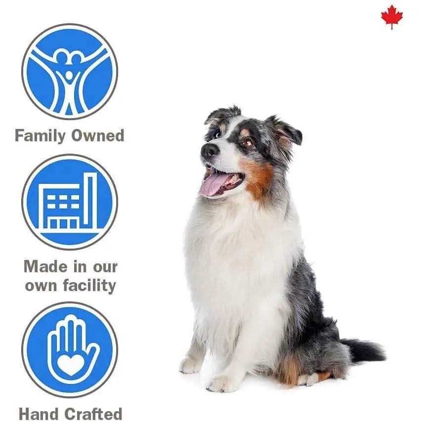 Plaque Busters Pet Dental Treats G9838