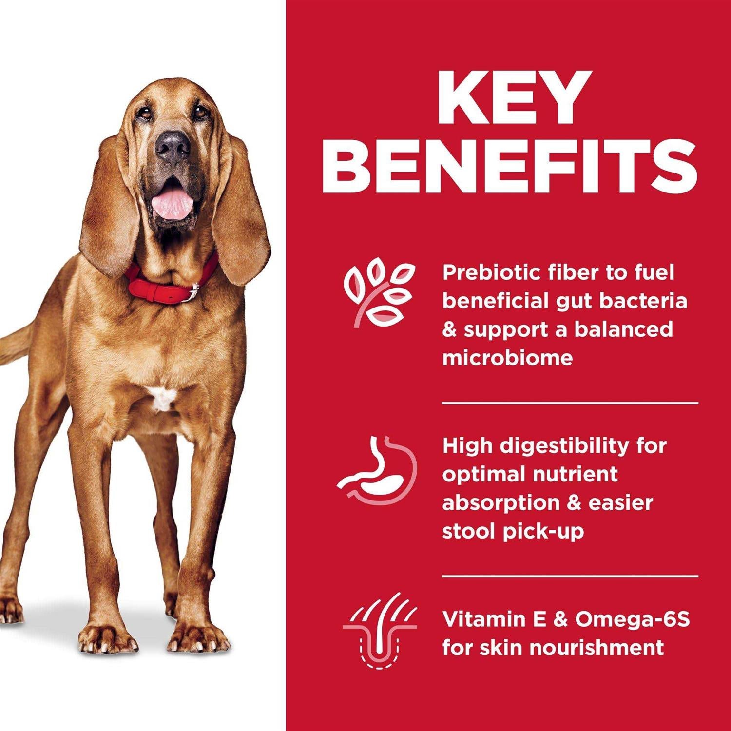 Adult Sensitive Stomach & Skin Chicken Recipe Large Breed Dry Dog Food B4725