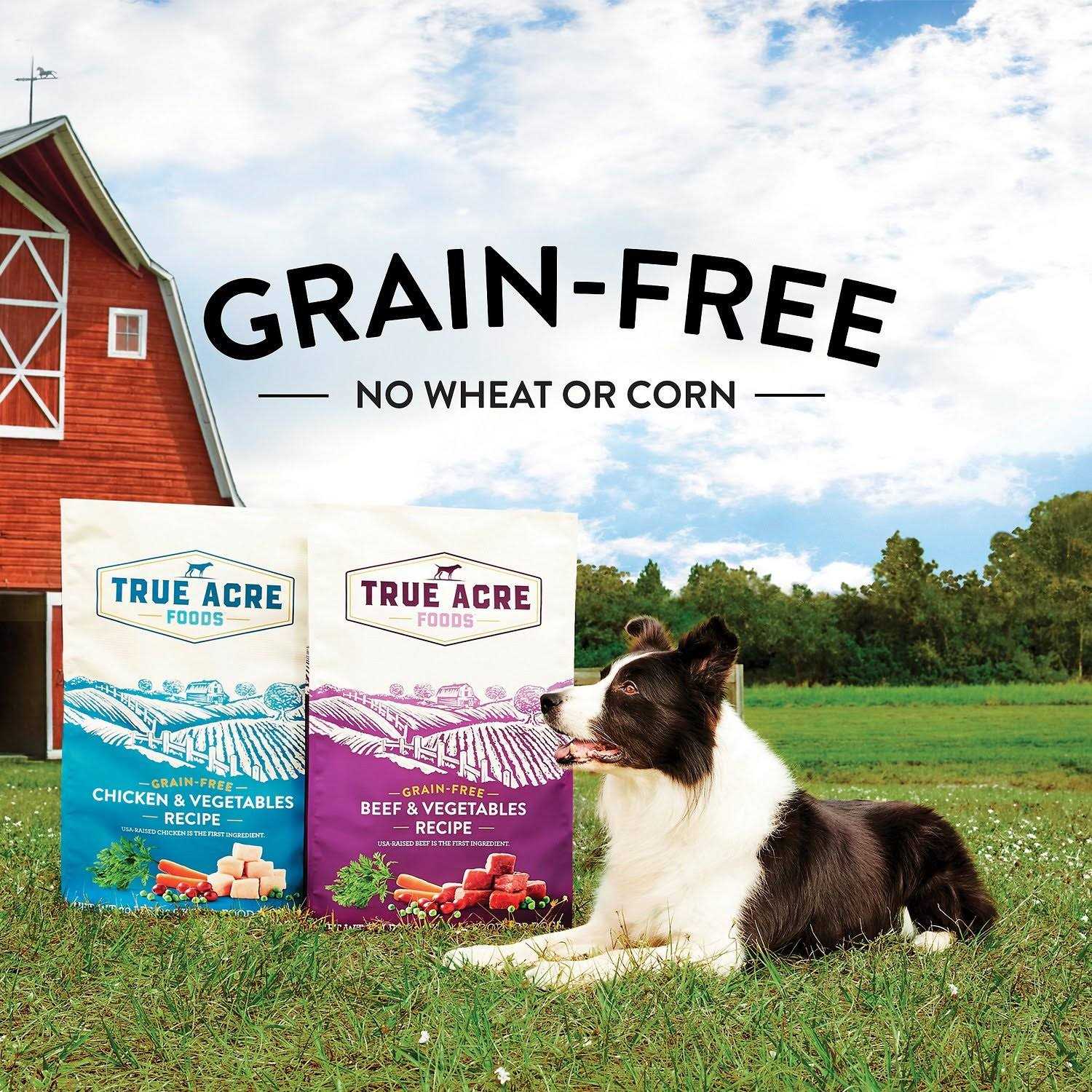 Grain-Free Beef & Vegetable Dry Dog Food L636