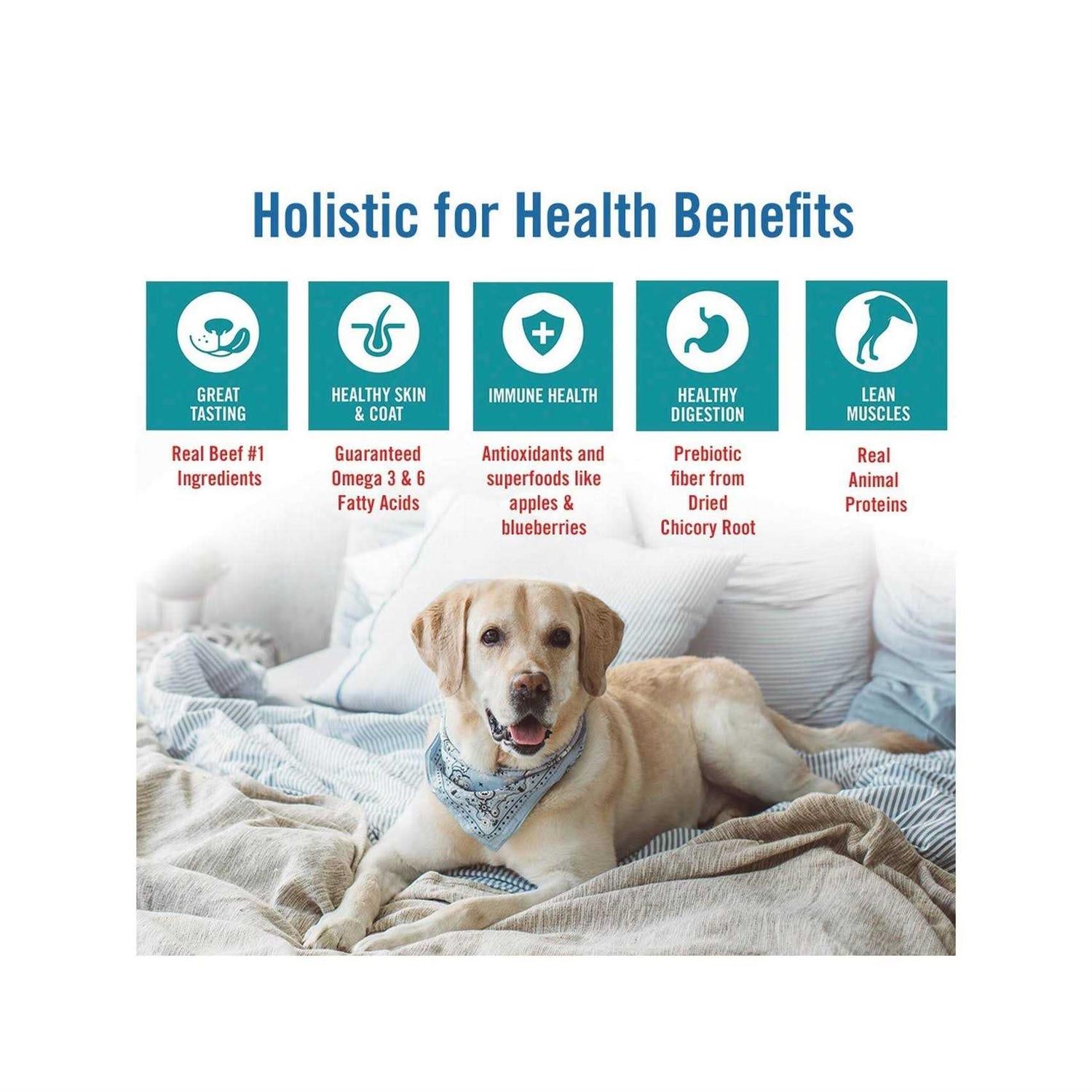 Chicken Turkey & Brown Rice Recipe Small Bites Dry Dog Food M71816