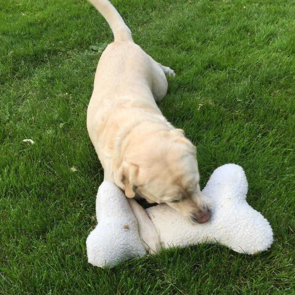 Bone Pillow Toy for Pets C50435