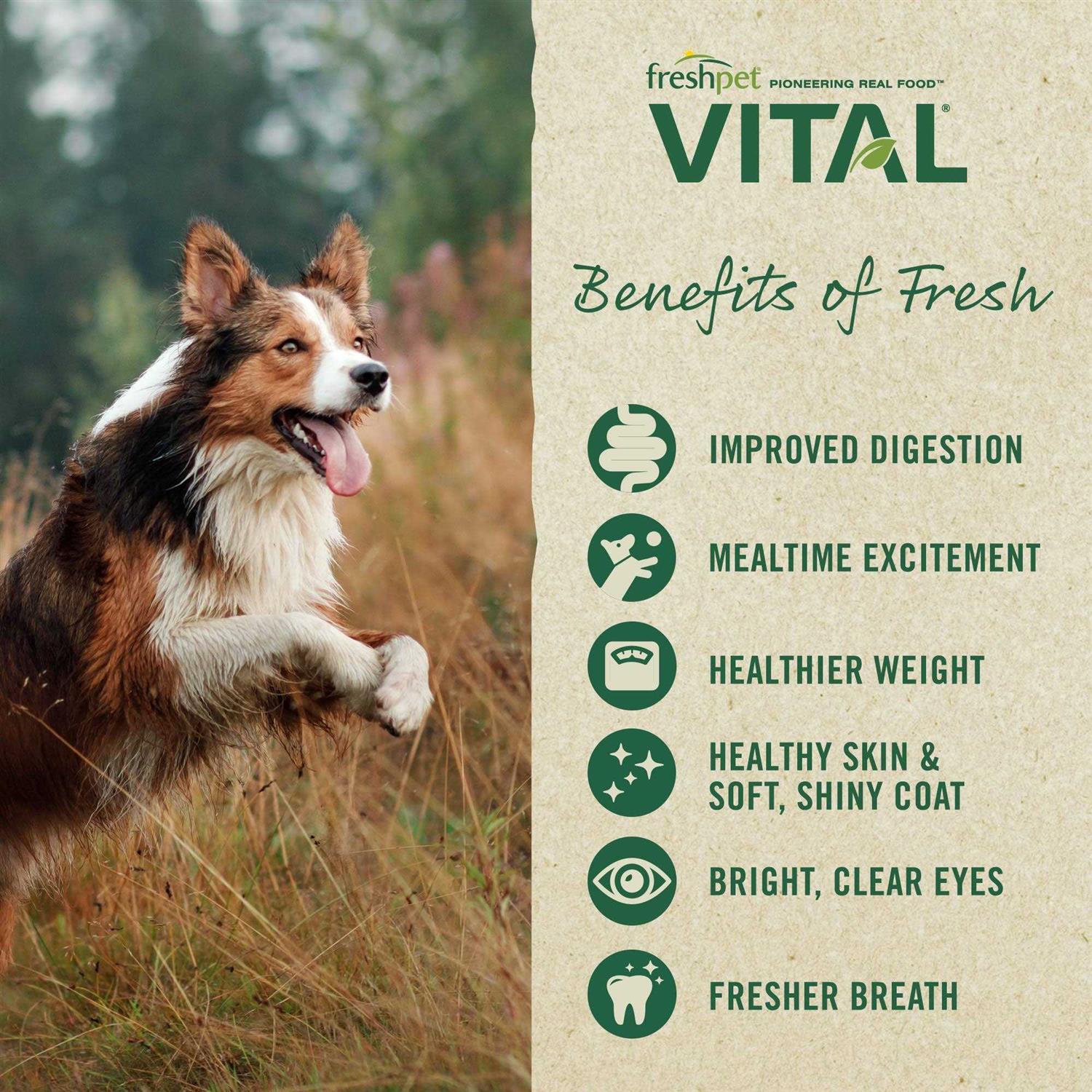 Grain Free Puppy Food S465493