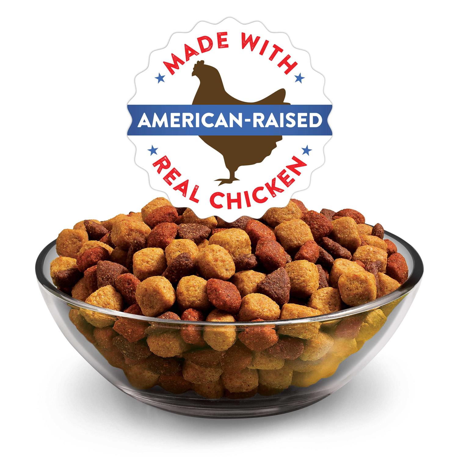 Dry Dog Food - Complete & Balanced J934840