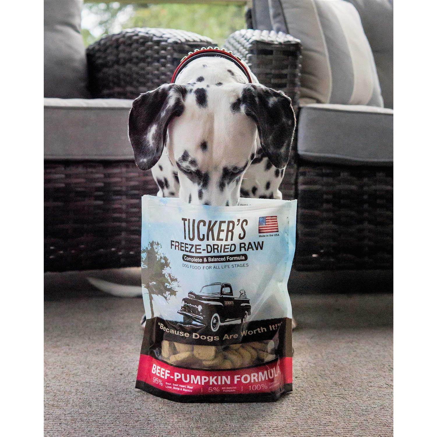 Freeze Dried Beef & Pumpkin Dog Food U10242