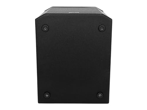 15in Powered Subwoofer Speaker with Class D and DSP R503