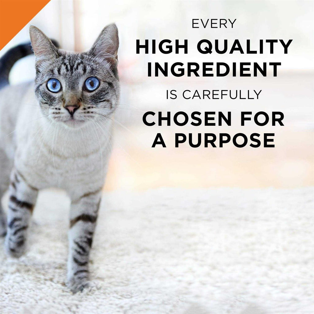 Seafood Entree Wet Cat Food D659