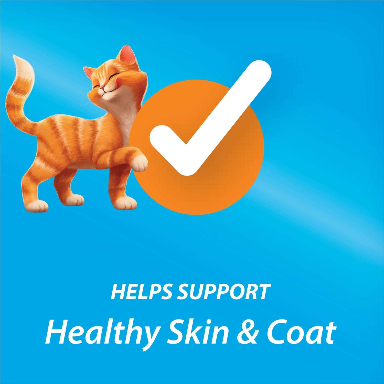 Dry Cat Food Y744