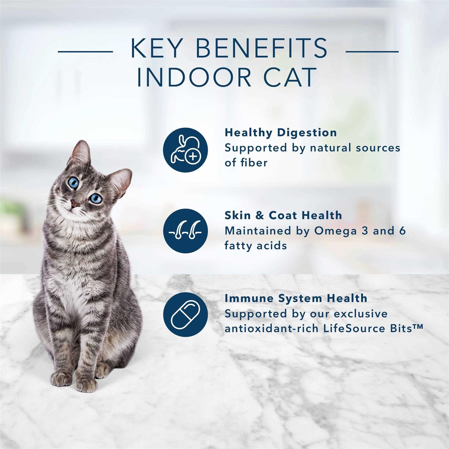 Indoor Adult Cat Food Chicken & Brown Rice Recipe O521360