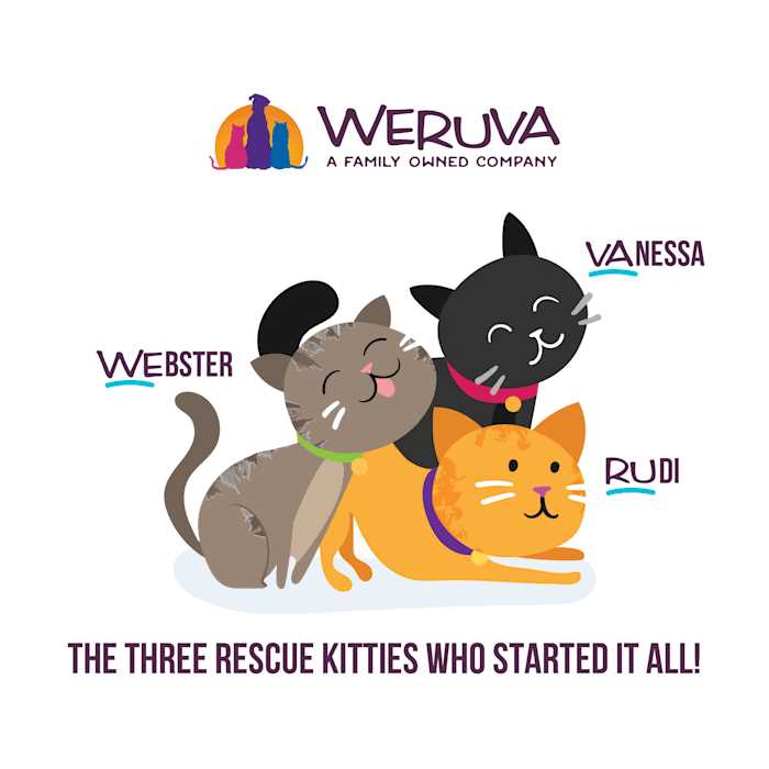 Variety Pack Wet Cat Food P52063