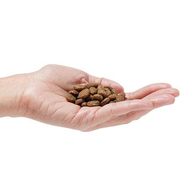 Grain-Free Dog Food L6168