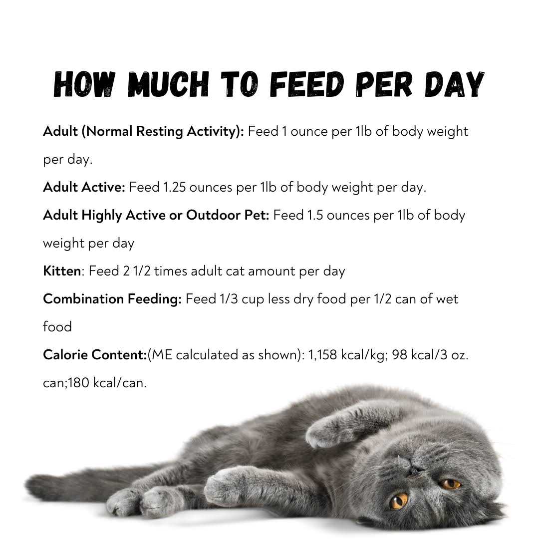 96% Pate Cat Food B970158
