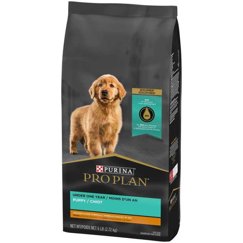 High Protein Chicken and Rice Dry Puppy Food, 6 lbs. H158