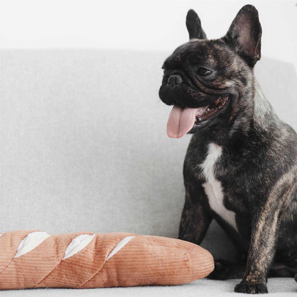 Baguette Enrichment Dog Toy E114847