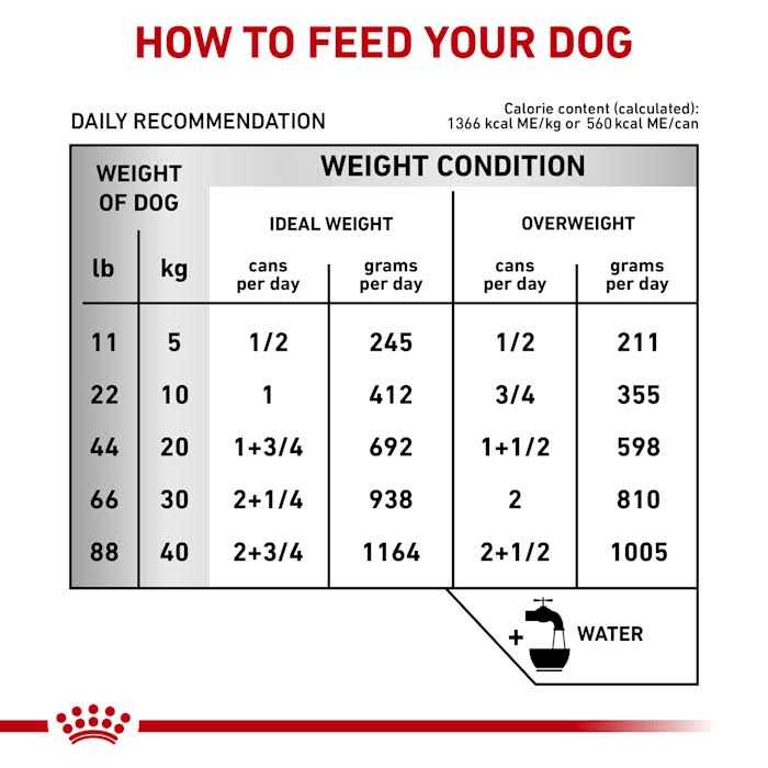 Veterinary Diet Hepatic Canned Dog Food I50557