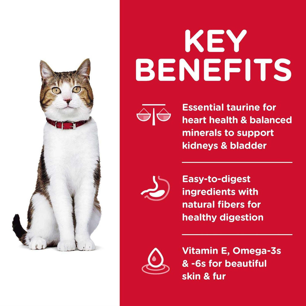 Adult 7+ Chicken Recipe Dry Cat Food P992