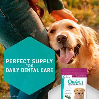 Dental Hygiene Chews for Dogs B7450