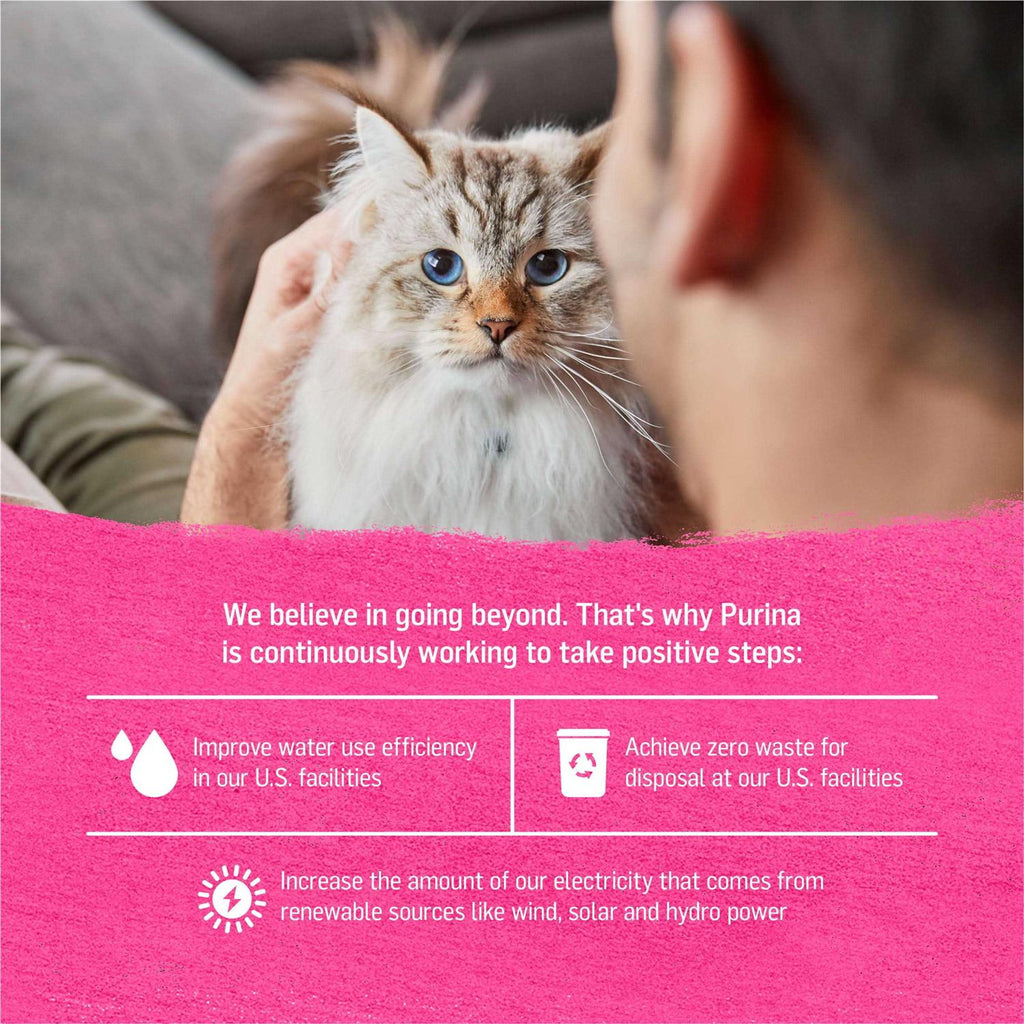 Grain-Free Wet Cat Food I382