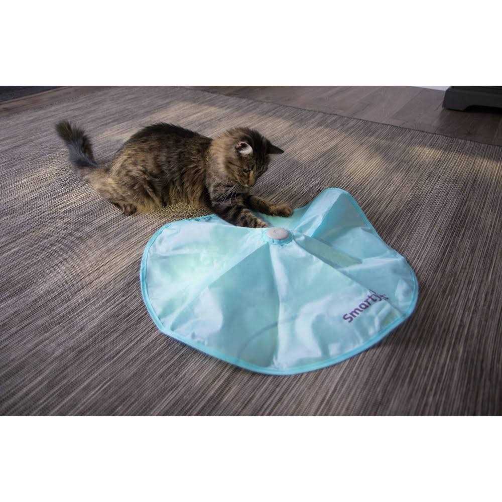 Electronic Motion Cat Toy W683970