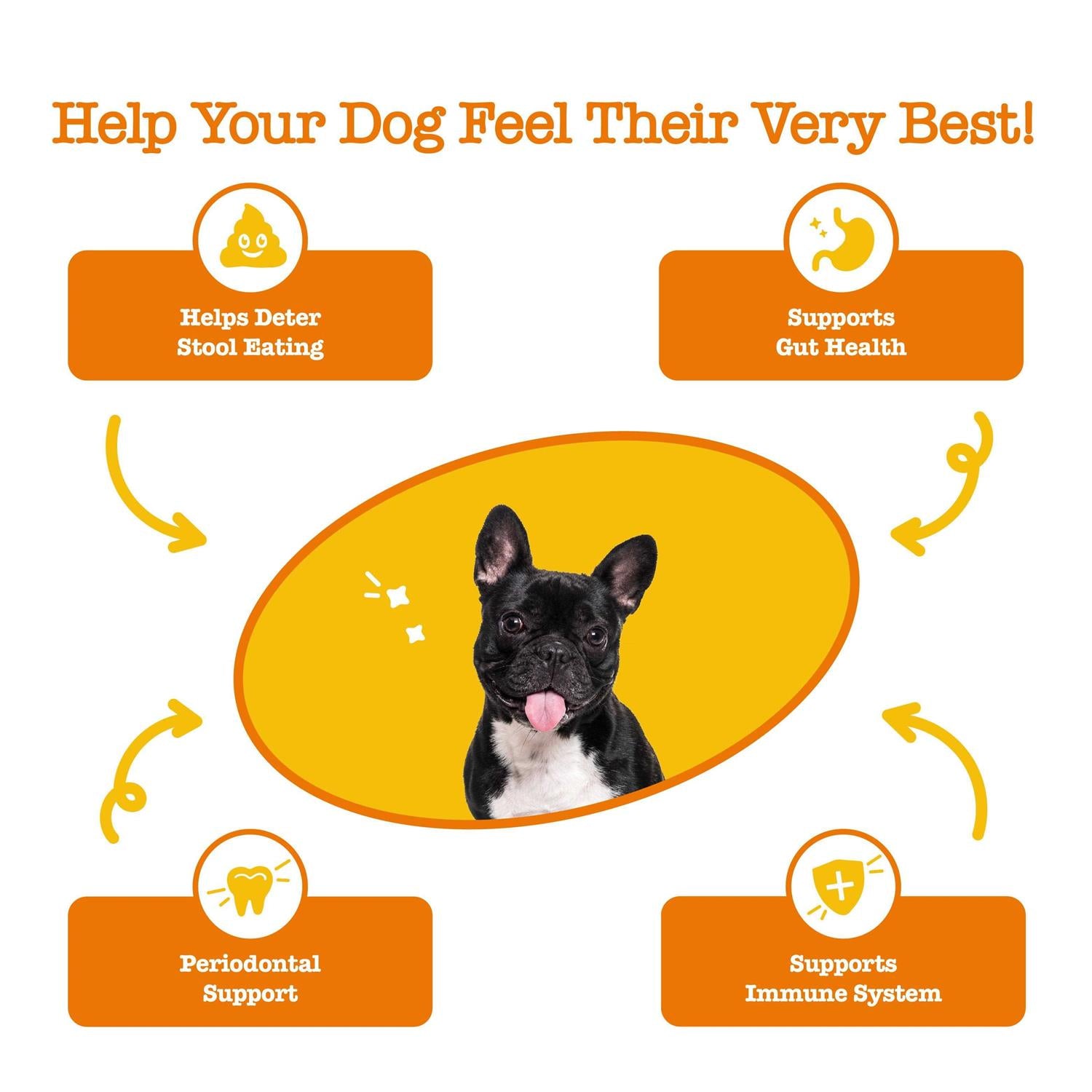 Chew No Poo Bites for Dogs R2151