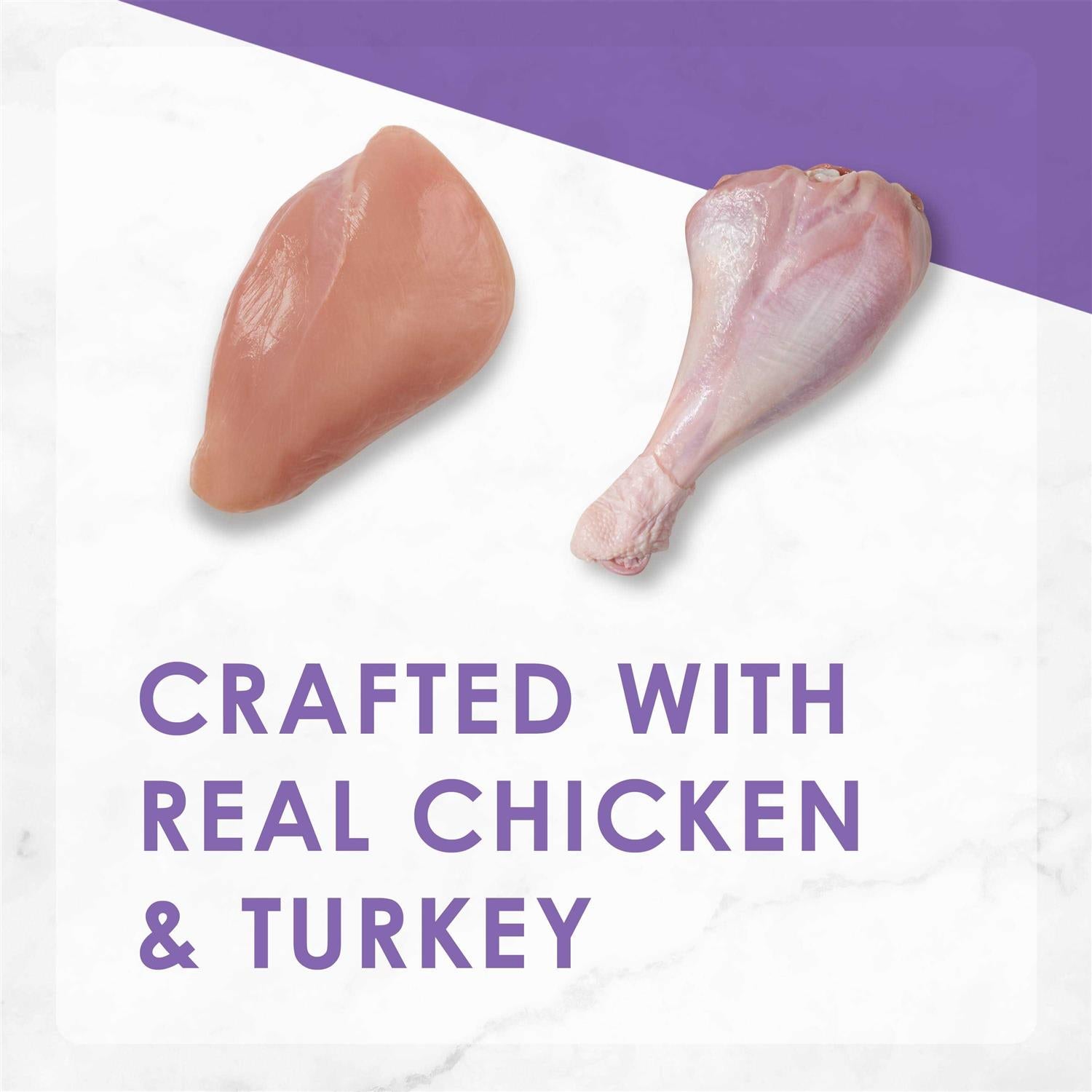Savory Chicken Turkey Dry Cat Food M367