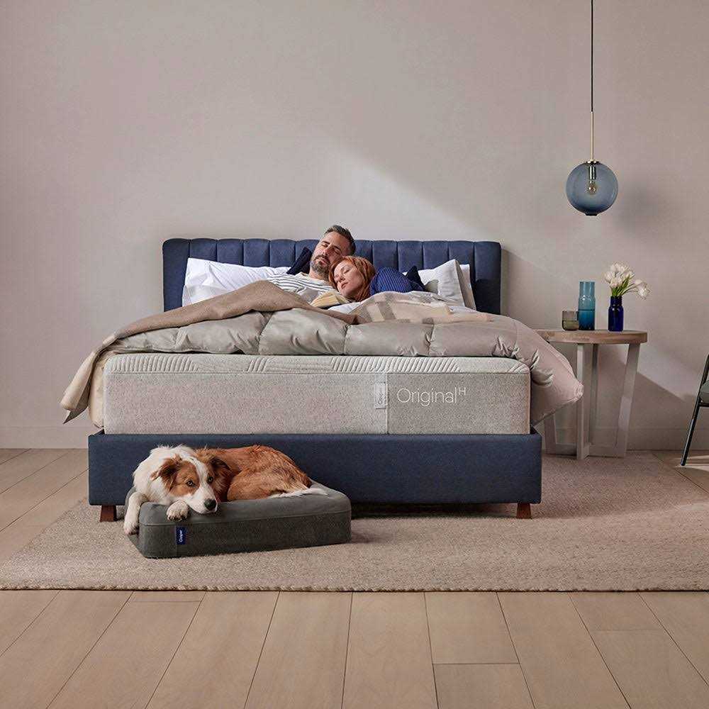 Dog Bed S9364