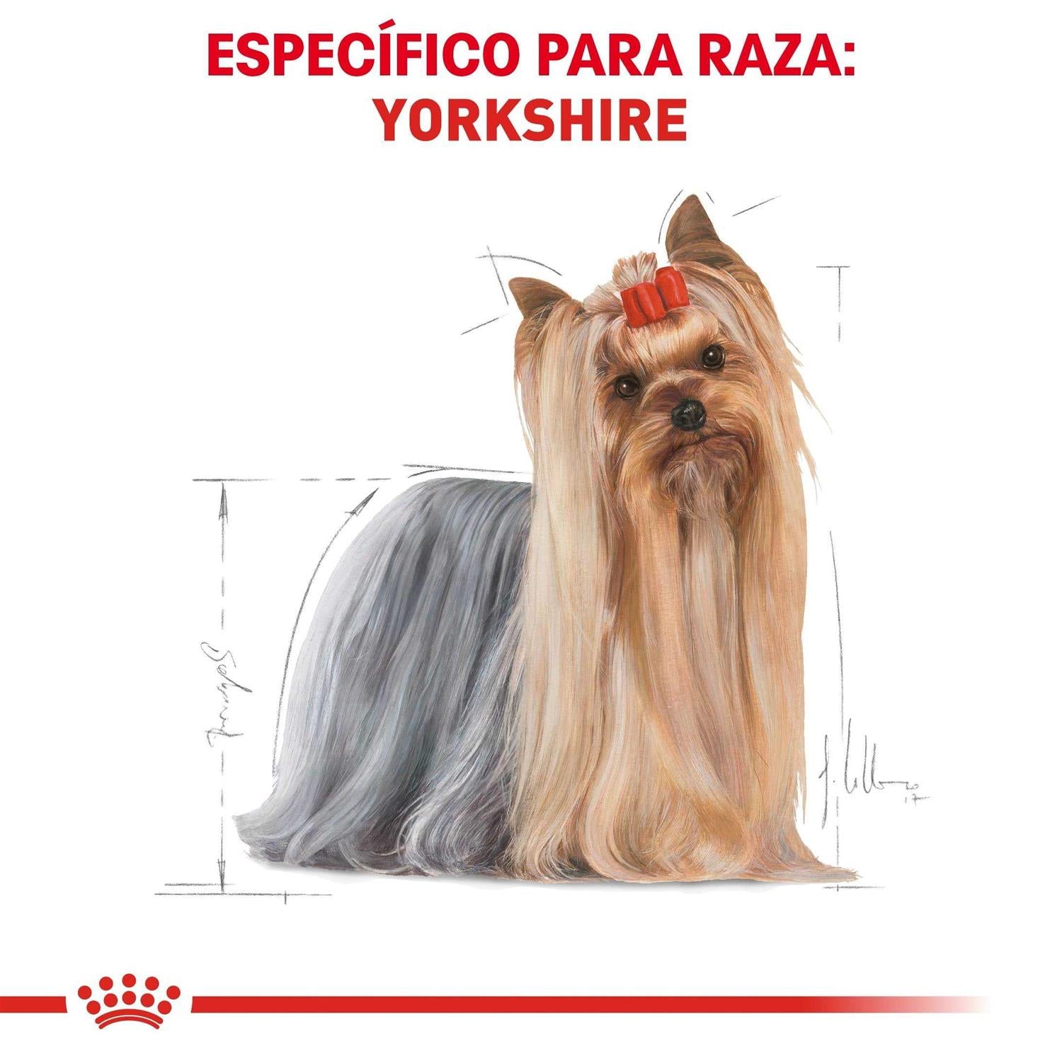 Yorkshire Terrier Adult Dry Dog Food W61663