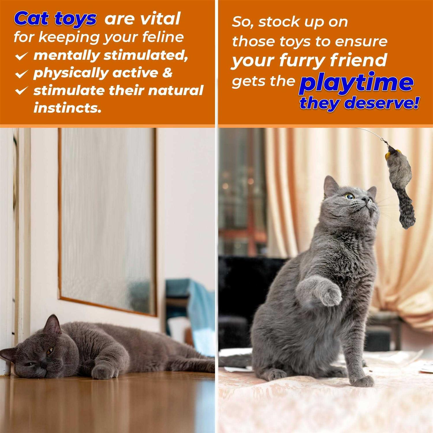 Mouse Cat Toy Pak Y763671