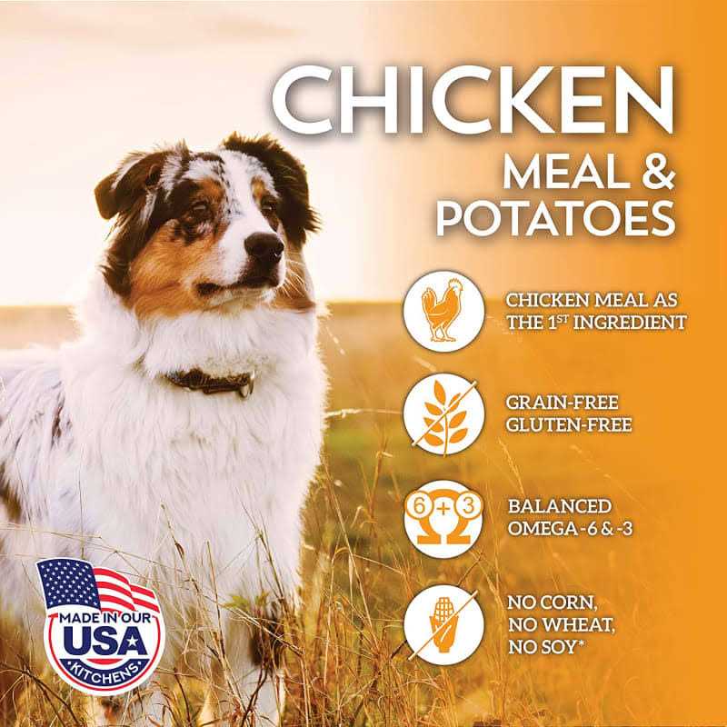 Grain Free Dry Dog Food with Chicken Meal and Chickpeas R387
