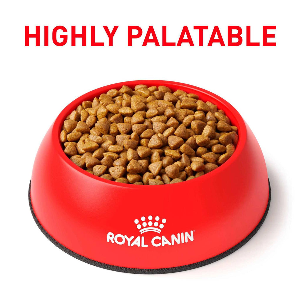 Calm Dry Cat Food X8973