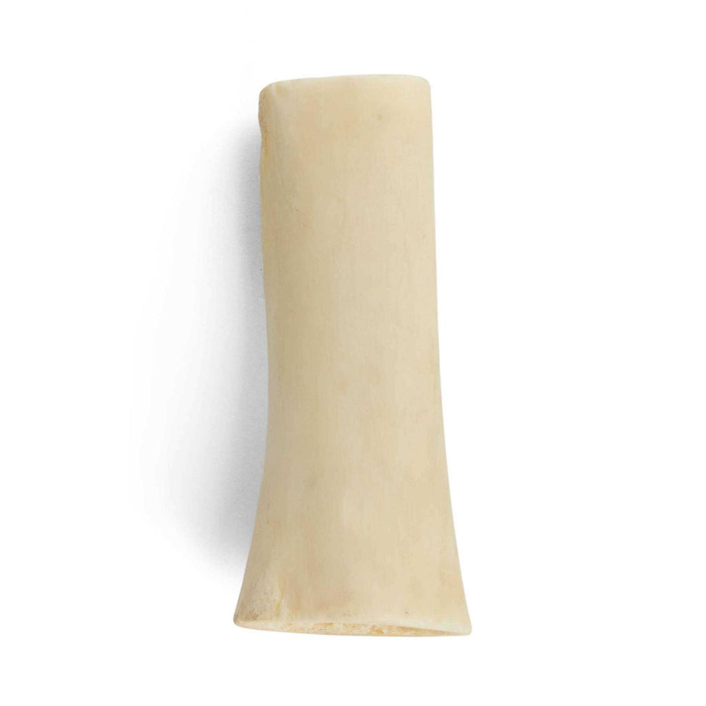 Hollow Bone for Dogs A500183