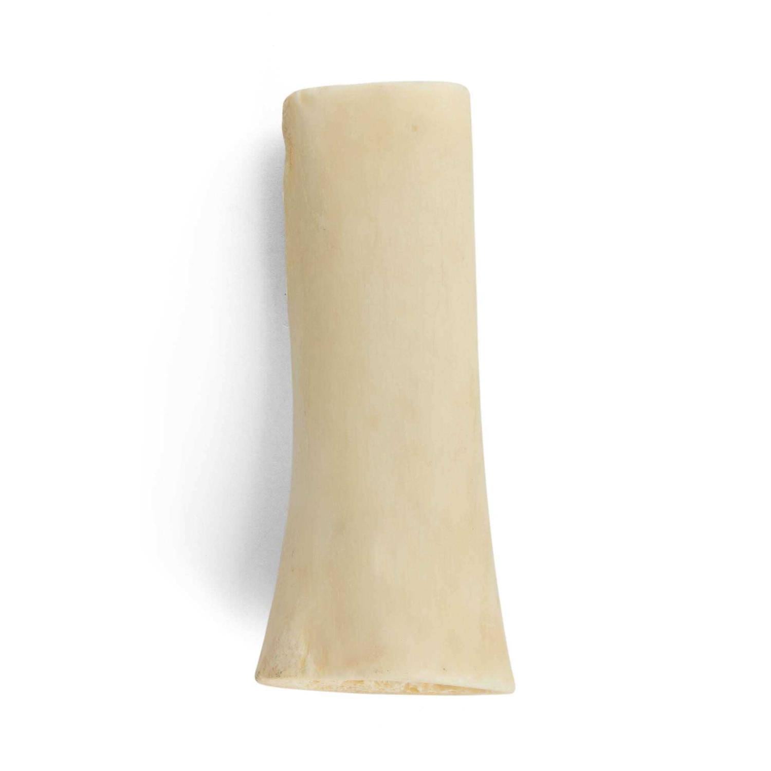 Hollow Bone for Dogs A500183