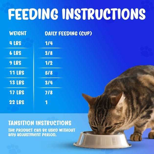 Renal Support Dry Cat Food R696