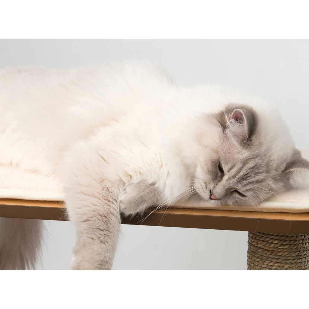 Cat Tree High Base Oak D54286