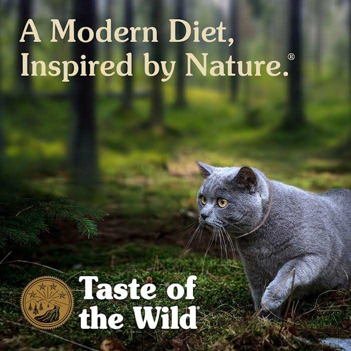 Canyon River Cat Food X435