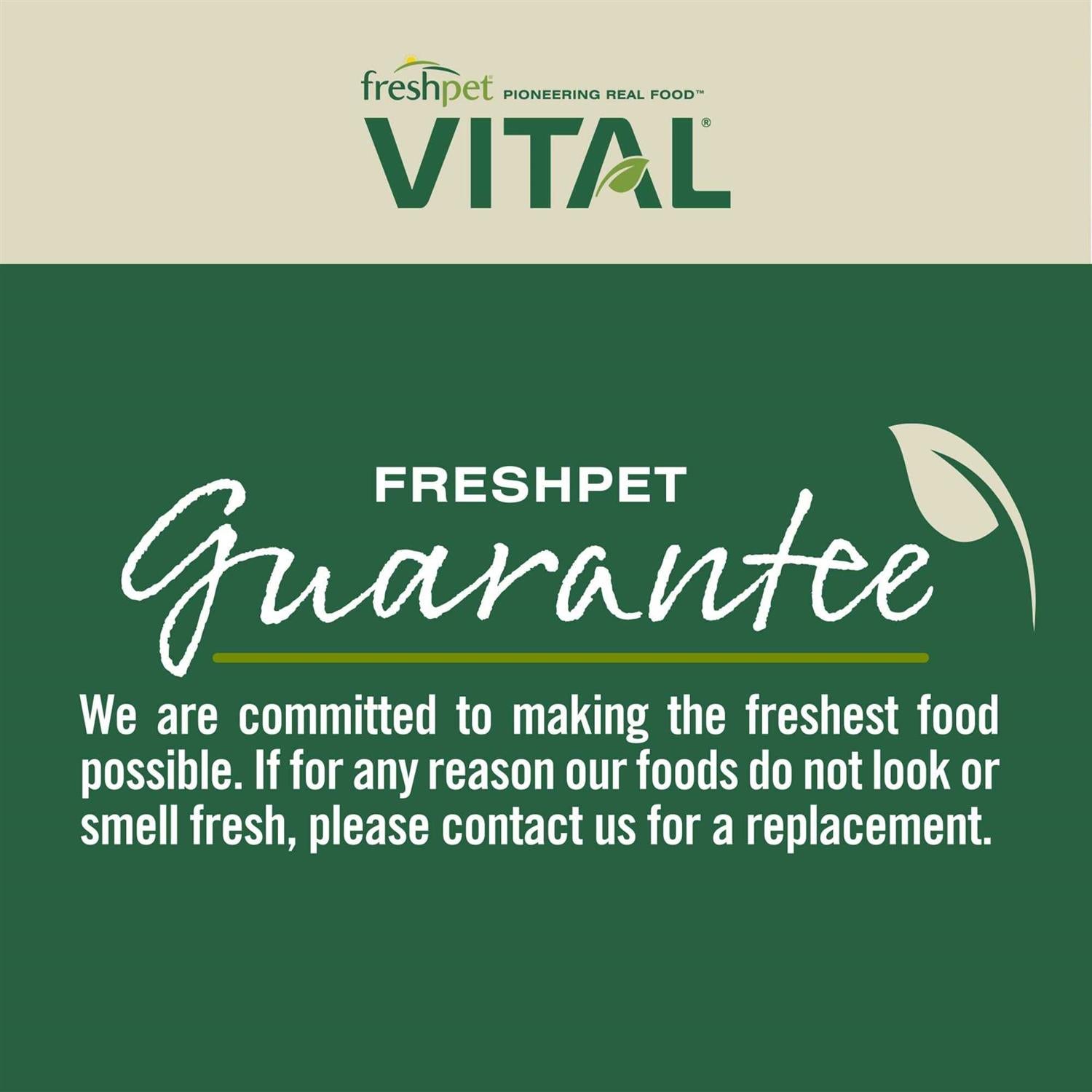Grain Free Puppy Food S465493