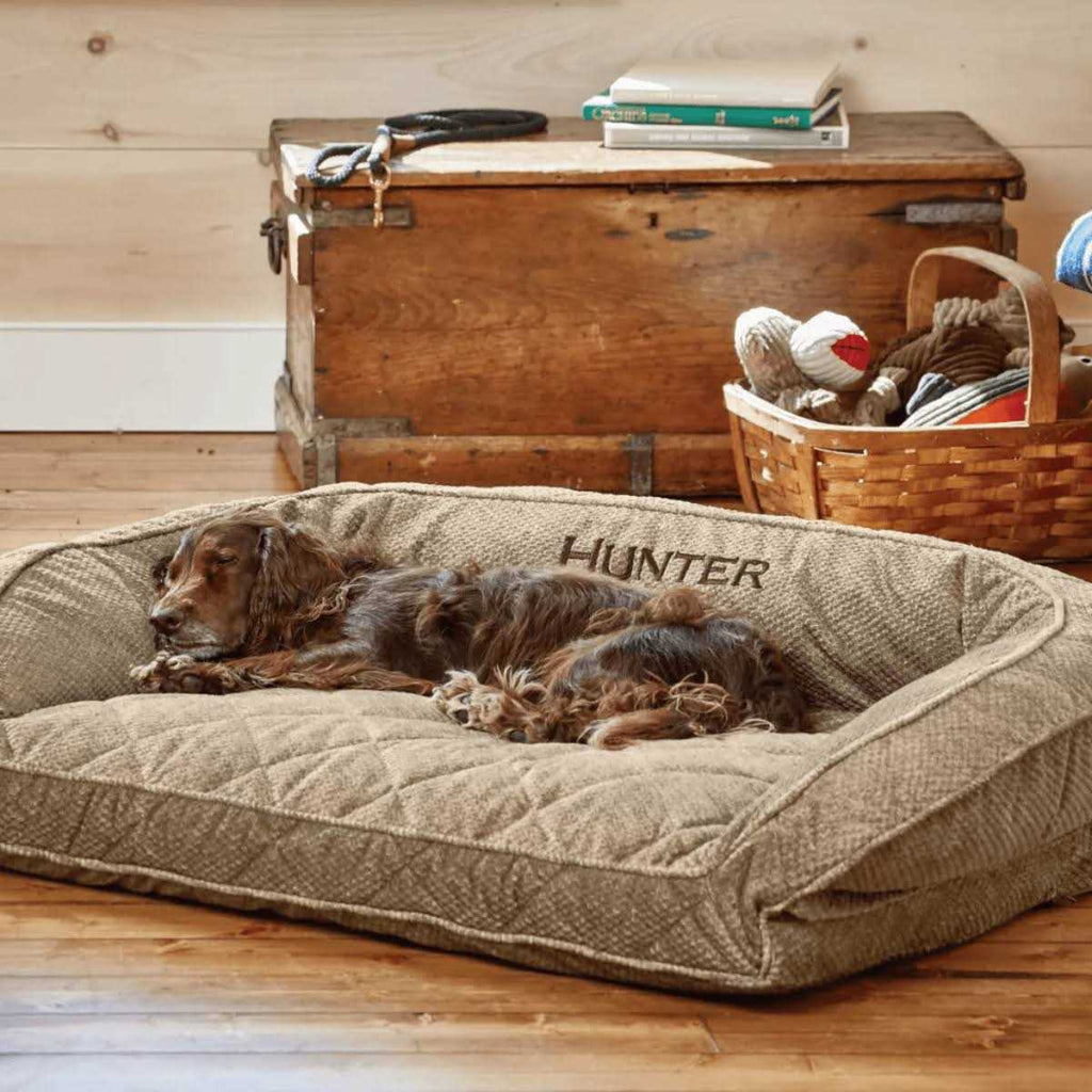 Couch Dog Bed G773875