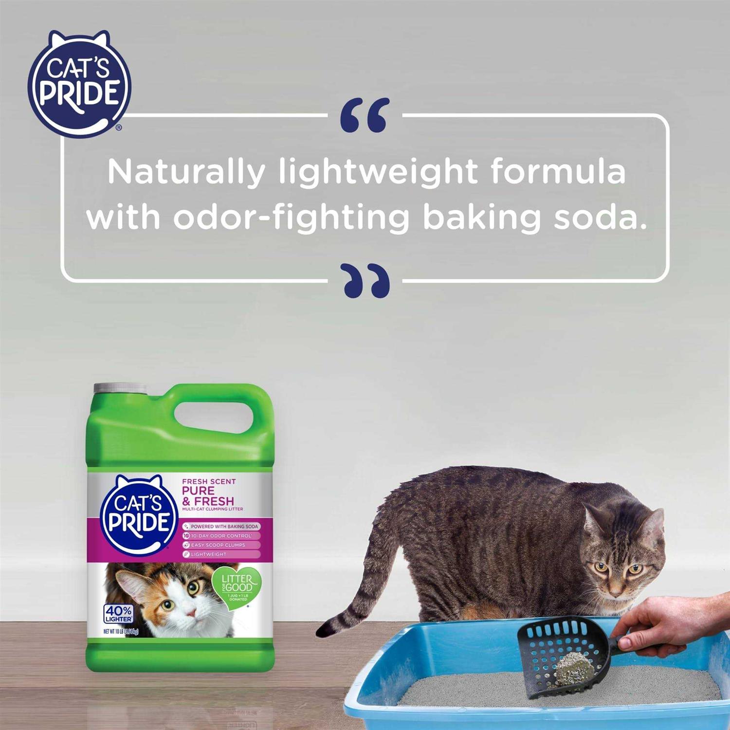 Multi-Cat Clumping Litter L586