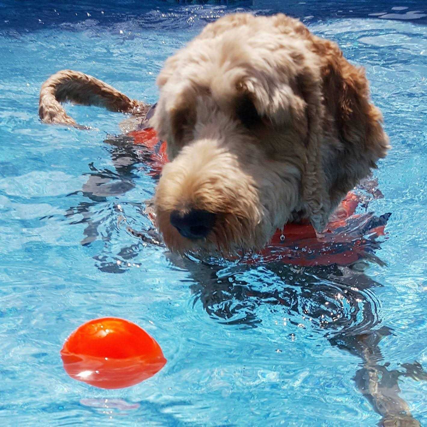 Indestructible Dog Toy Ball P4362