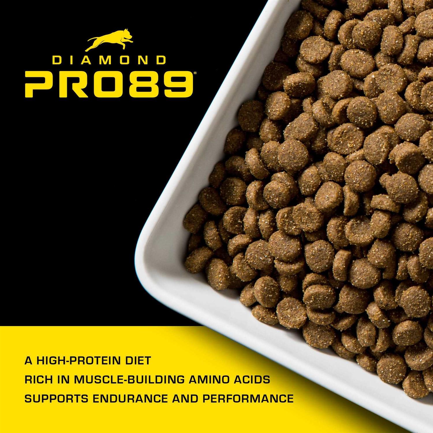 Adult Dog Food with Beef, Pork & Ancient Grains O298630