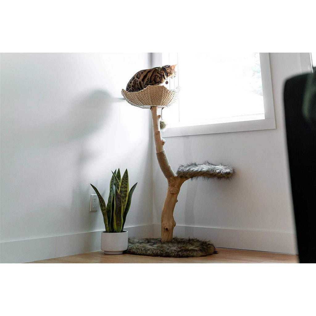Cat Tree H355483