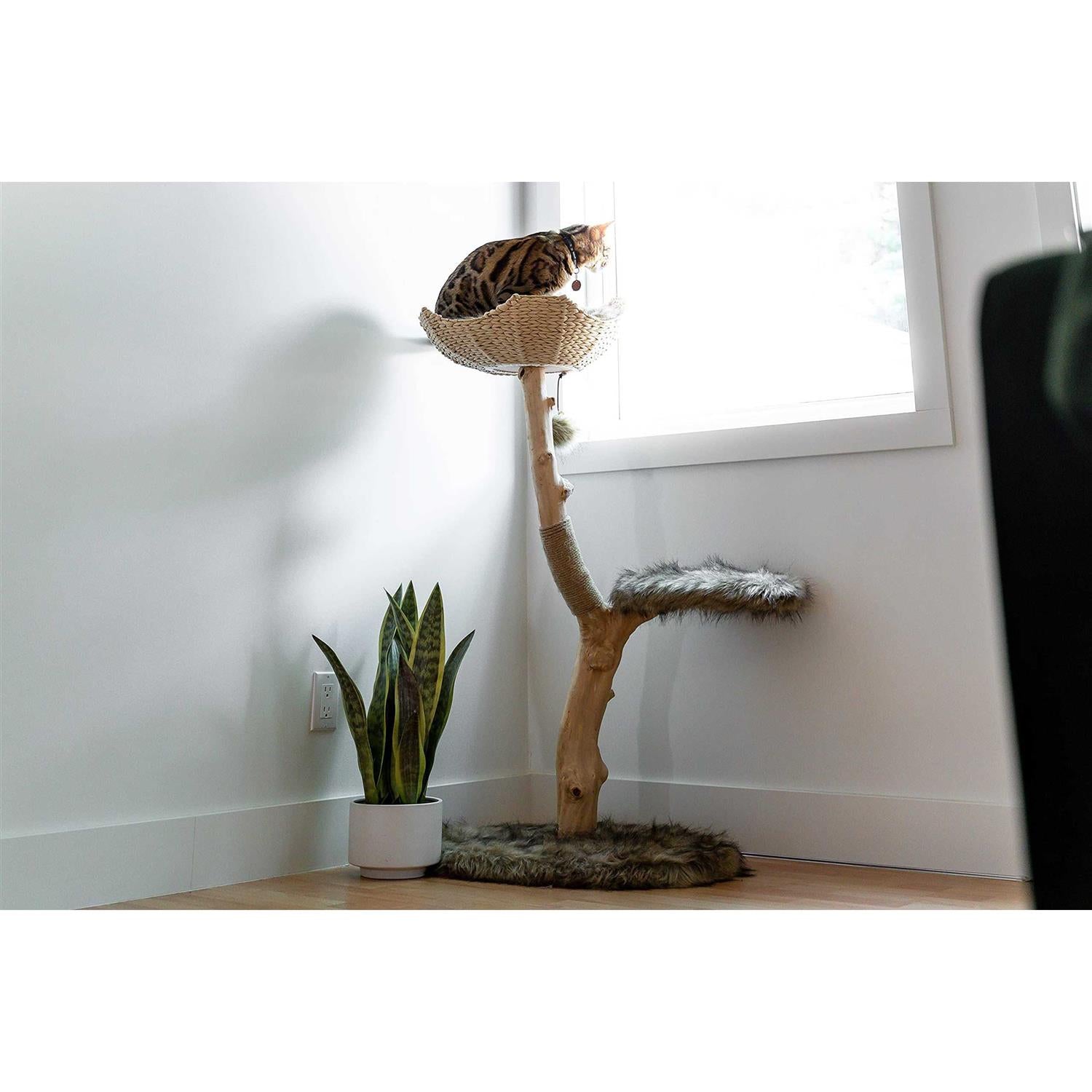 Cat Tree H355483