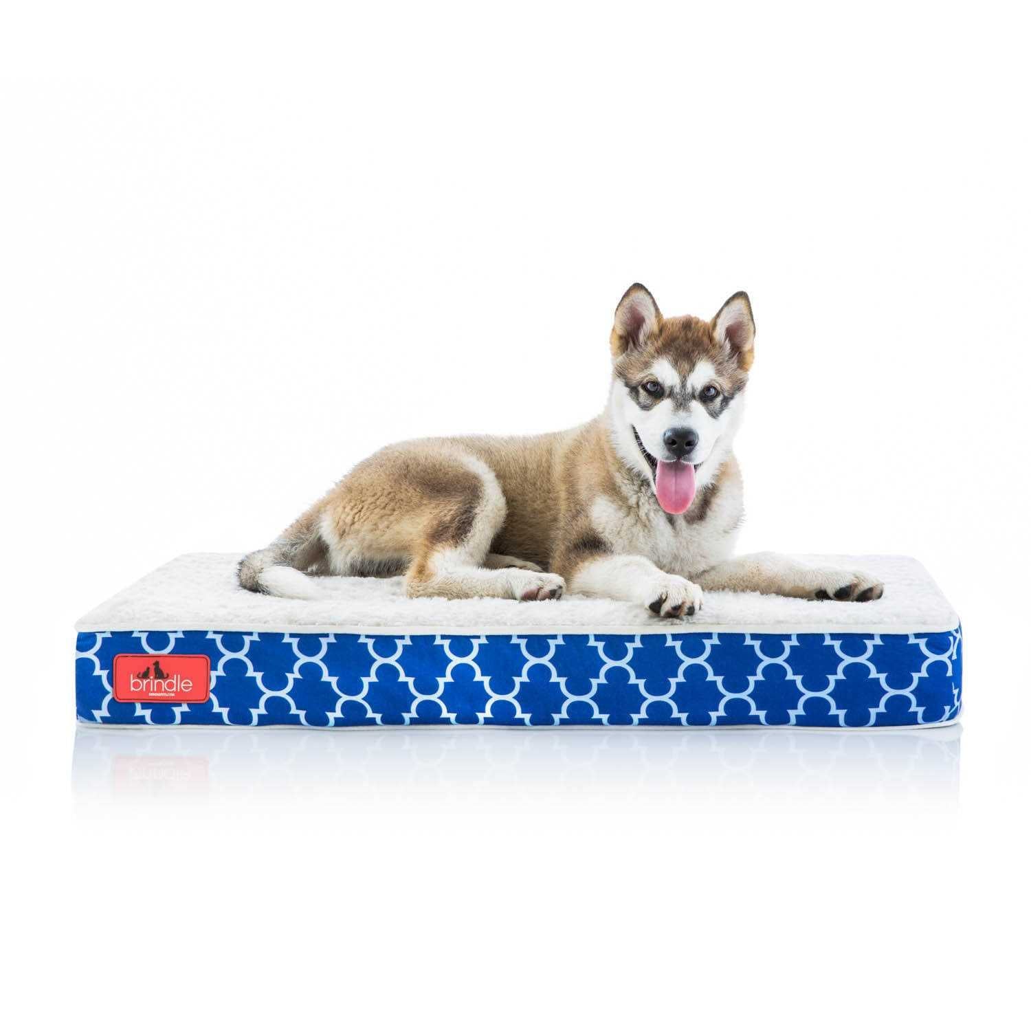 Waterproof Memory Foam Pet Bed Y3193