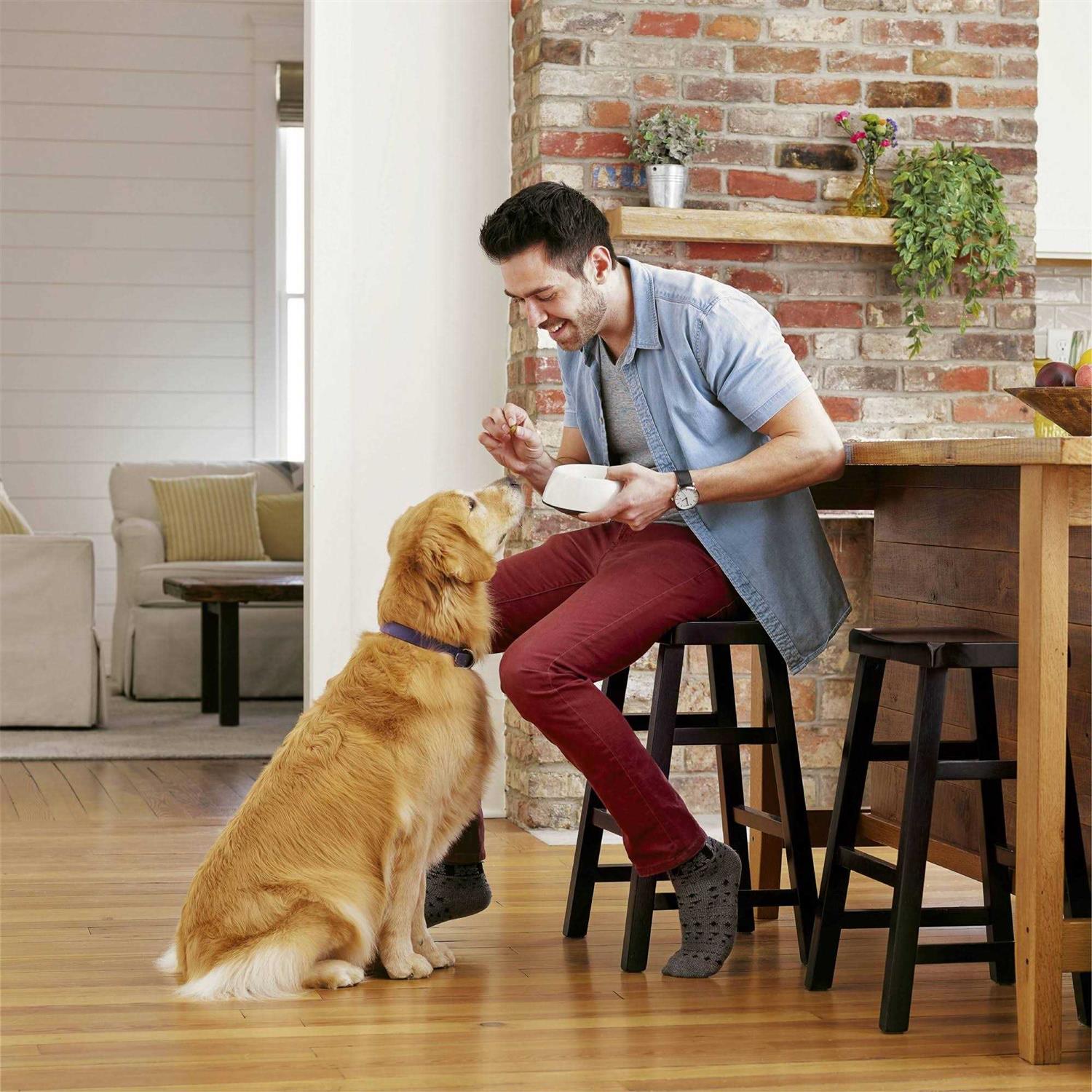 Adult Dry Dog Food with Real Chicken for Healthy Digestion Q9534