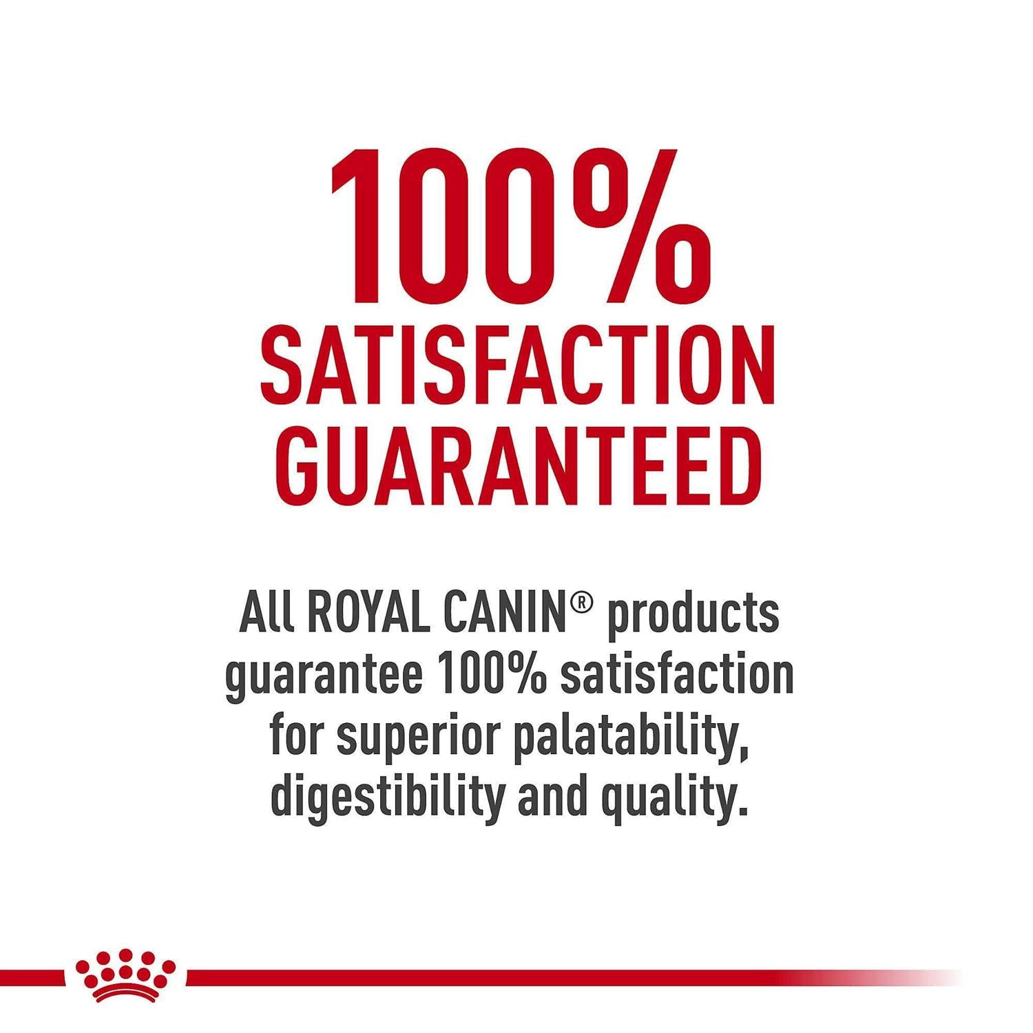 Urinary Care Dry Cat Food K865376