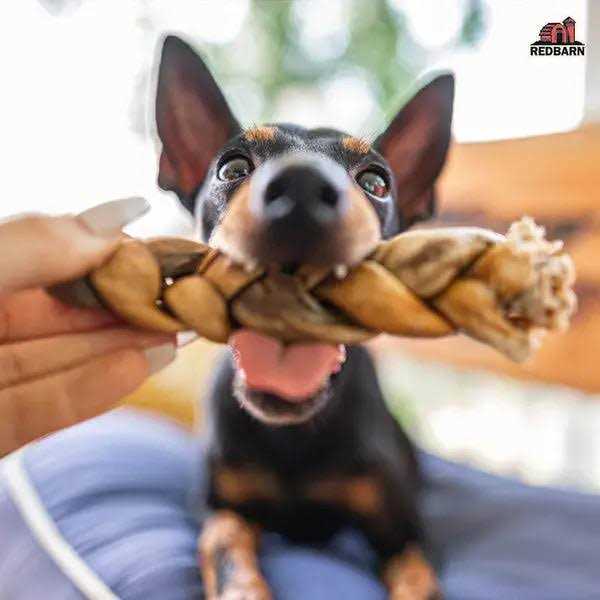 Puffed Collagen Braid Dog Chew K793836