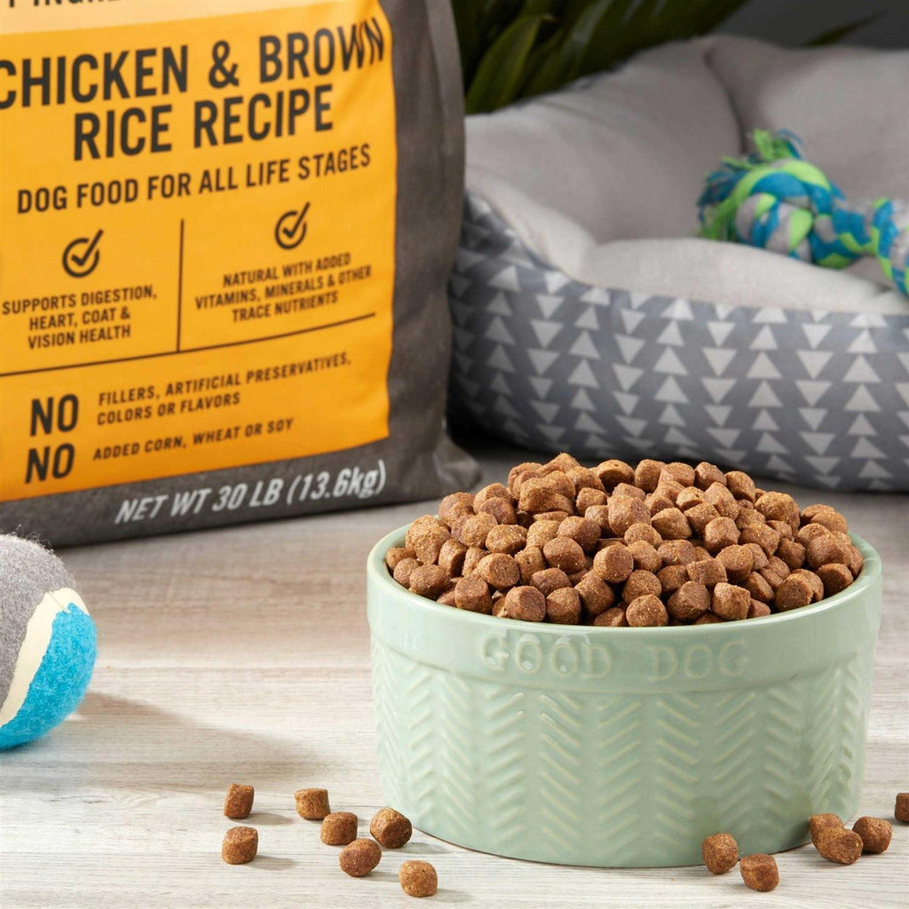 Chicken and Brown Rice Recipe Dry Dog Food I691108