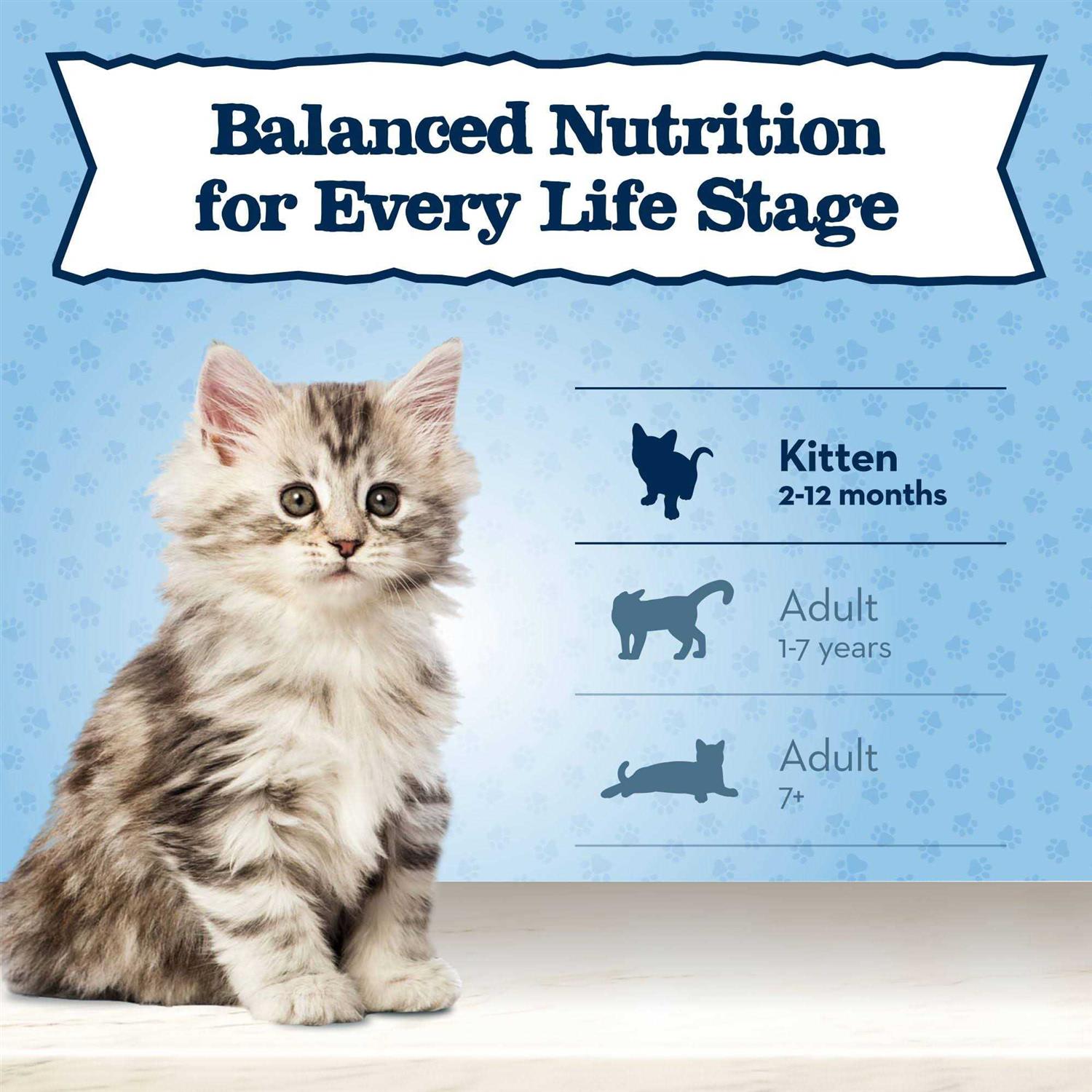 Natural Dry Kitten Food High Protein P8594