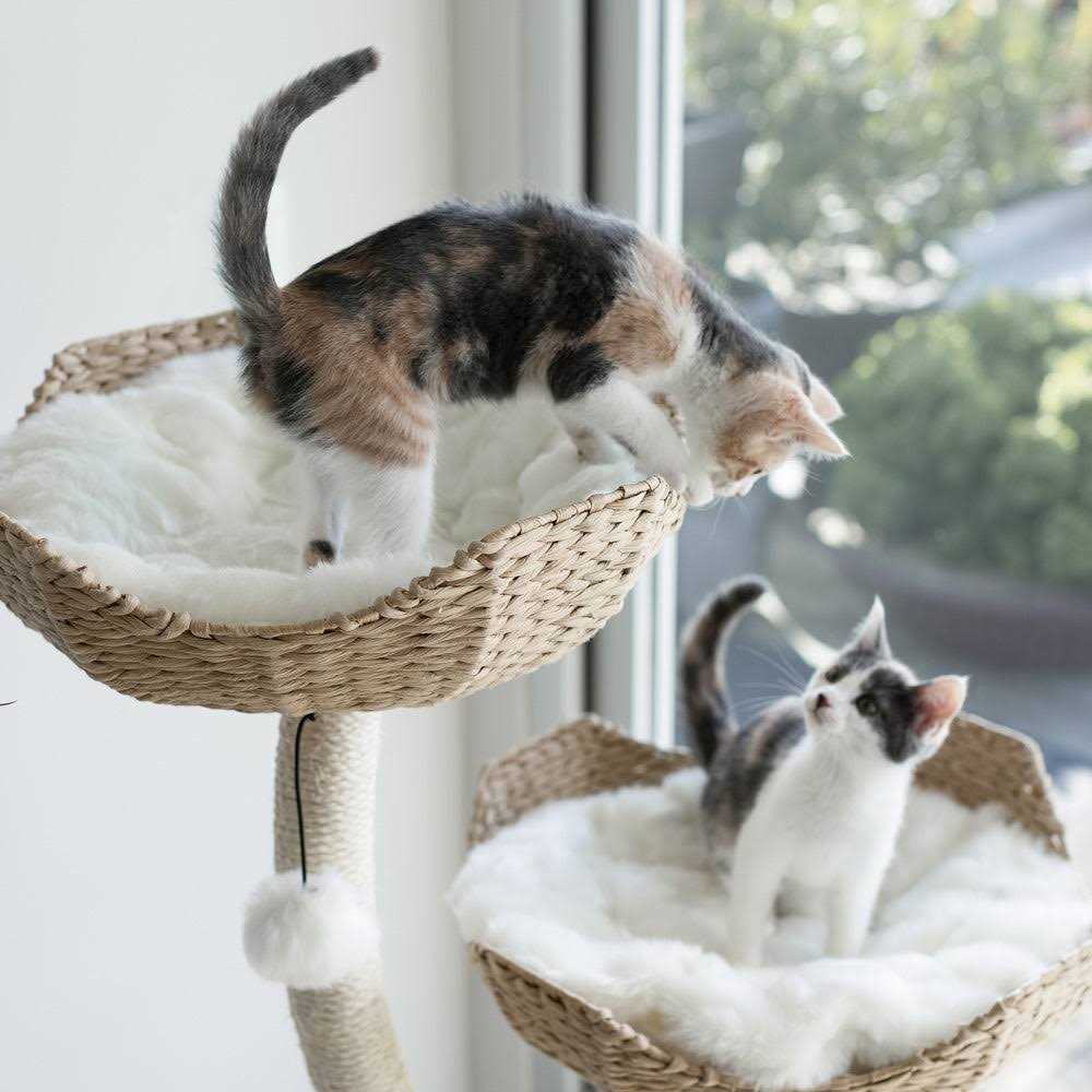 Modern Cat Tree E699840