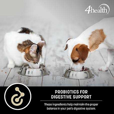 Sensitive Skin Formula Dry Dog Food X28555